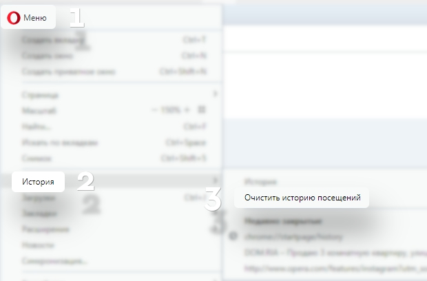 opera_RU_1.jpg