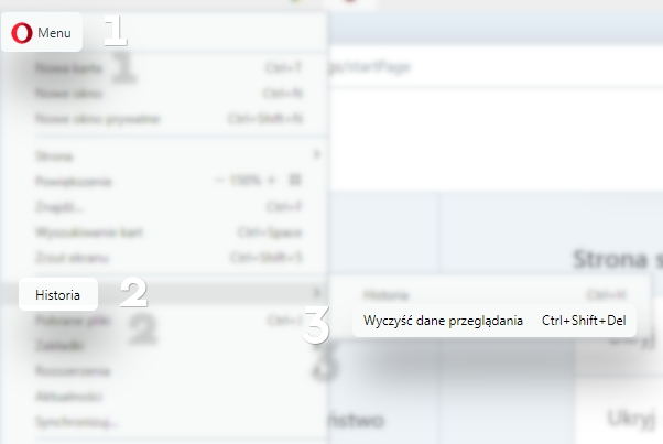 opera_PL_1.jpg
