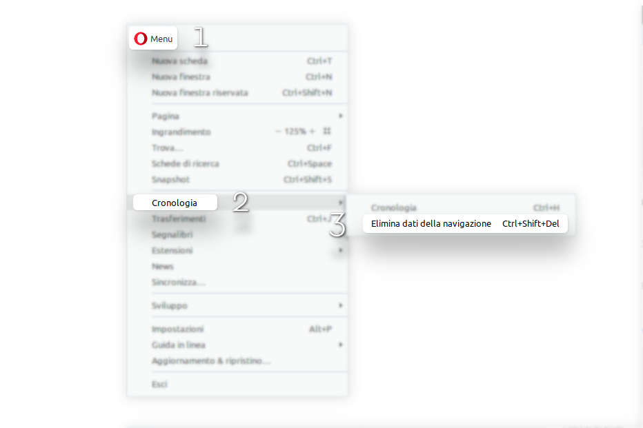 cookies_opera_IT_1.jpg