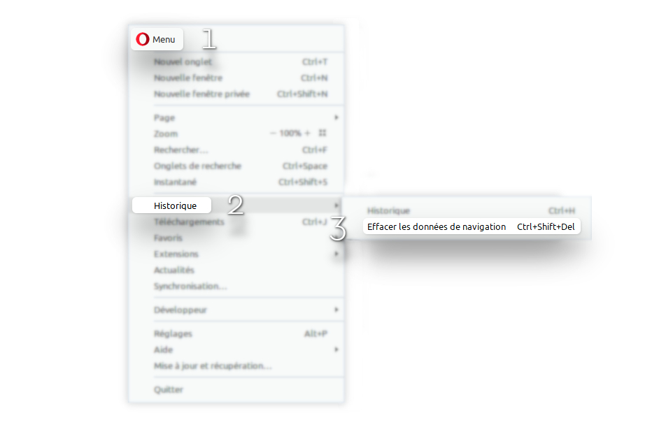 cookies_opera_FR_1.jpg